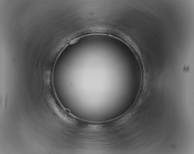 X0000112960057200908271127