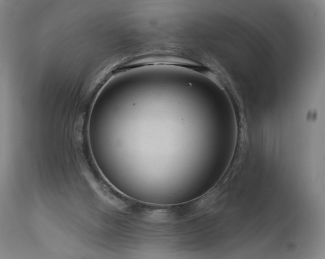 X0000112960058200908271127