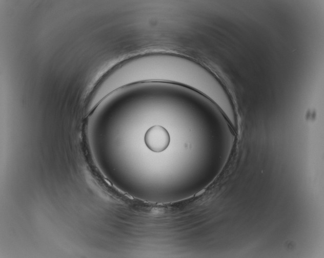 X0000112960060200908271127