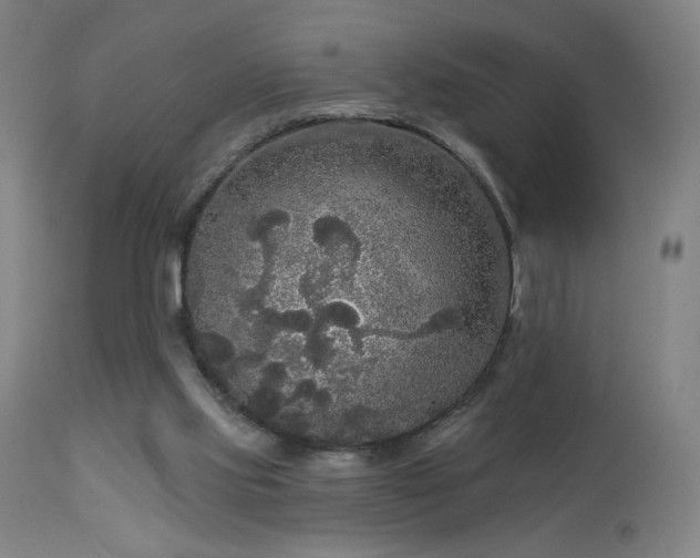 X0000112960061200908271127