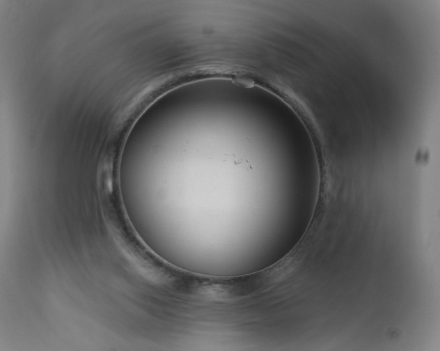 X0000112960062200908271127