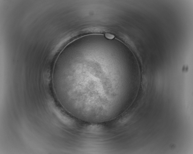 X0000112960063200908271127