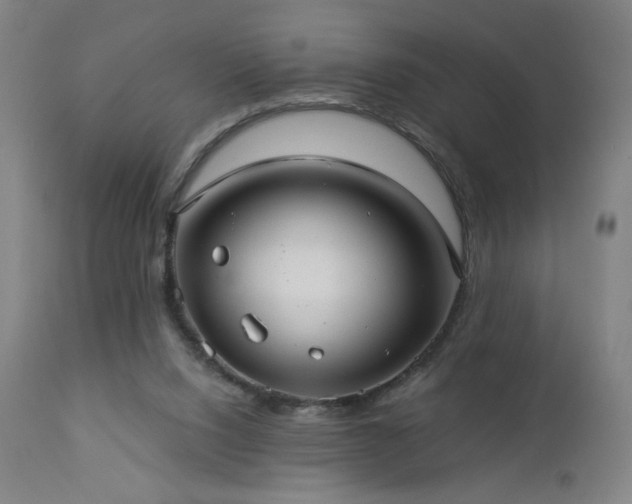 X0000112960064200908271127