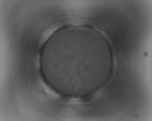 X0000112960066200908271127