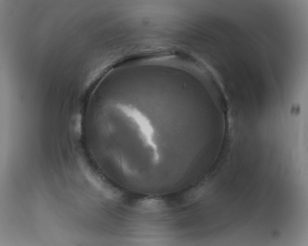 X0000112960067200908271127