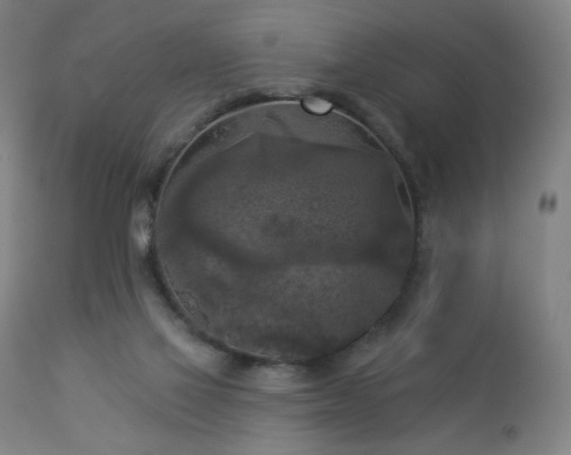 X0000112960069200908271127