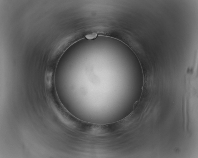 X0000112960070200908271127