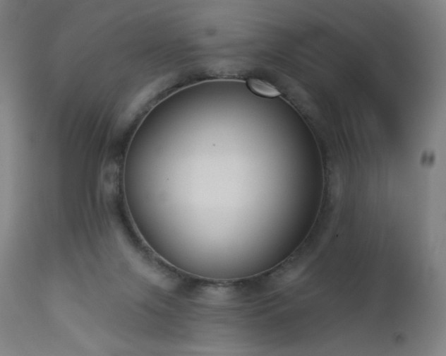 X0000112960071200908271127