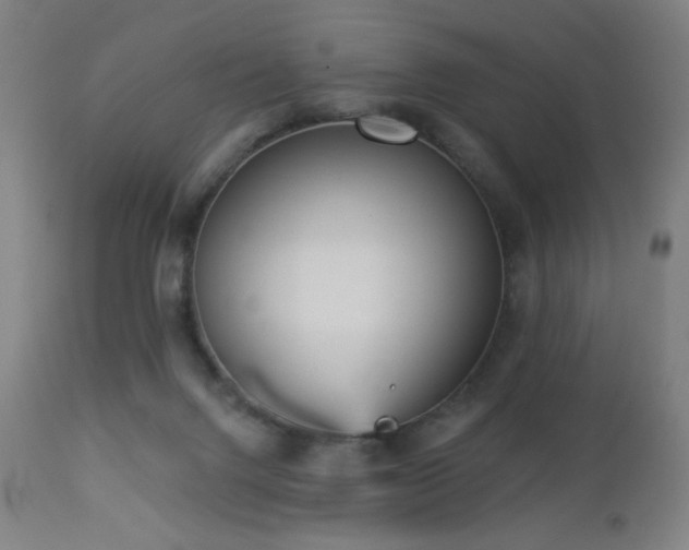 X0000112960072200908271127