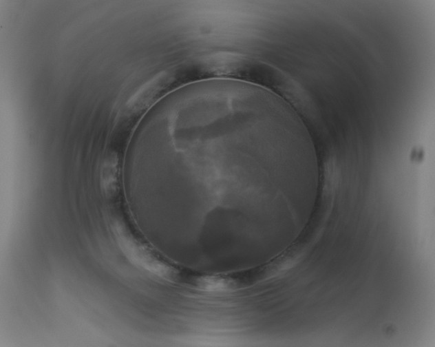 X0000112960073200908271127