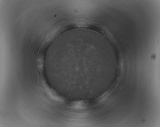 X0000112960074200908271127