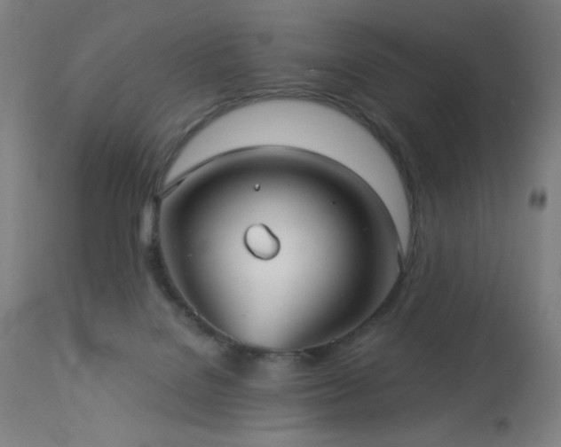 X0000112960076200908271127