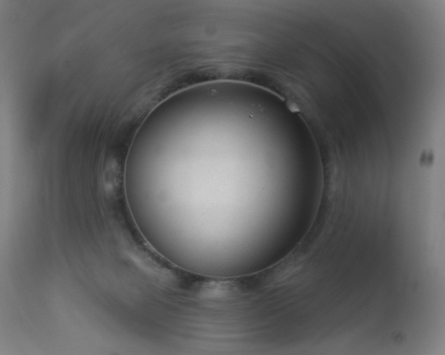 X0000112960077200908271127