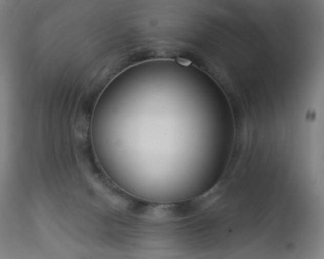 X0000112960078200908271127