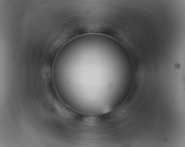 X0000112960079200908271127