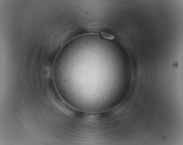 X0000112960081200908271127