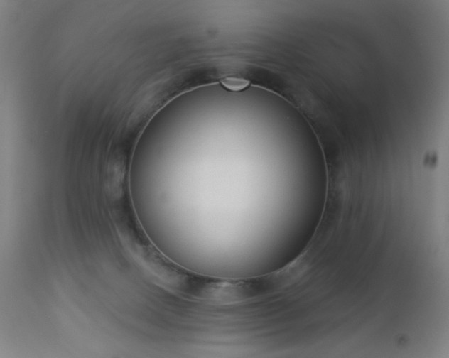 X0000112960082200908271127