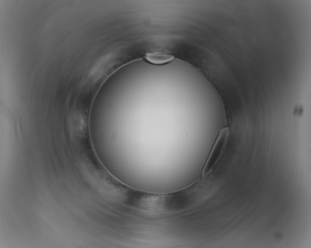 X0000112960084200908271127