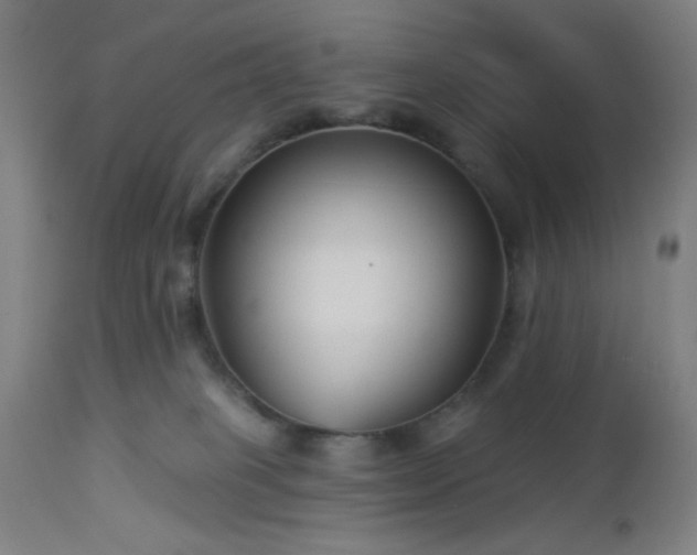 X0000112960085200908271127