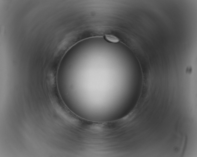 X0000112960086200908271127