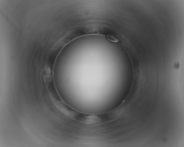 X0000112960087200908271127