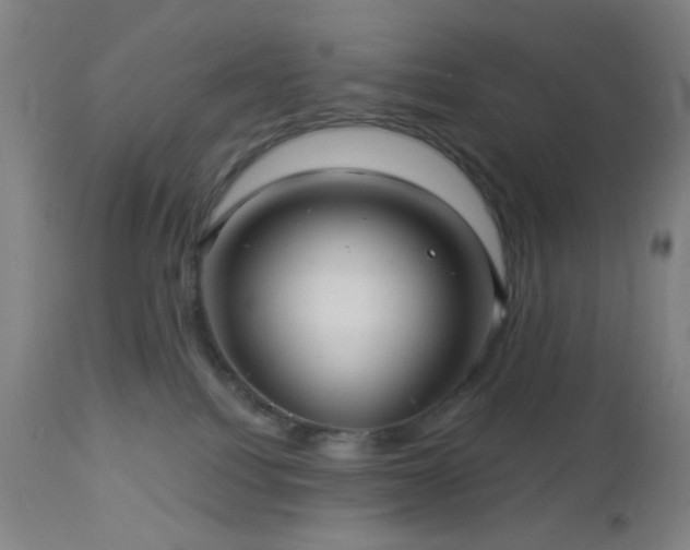 X0000112960088200908271127