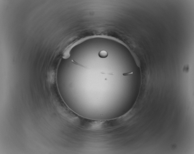 X0000112960090200908271127