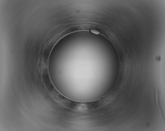 X0000112960091200908271127