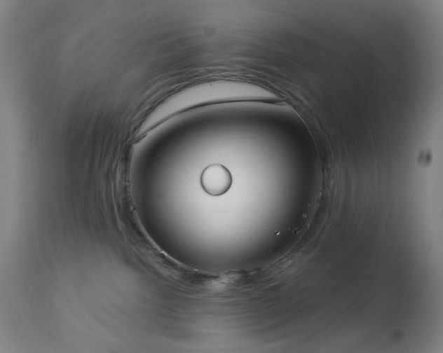 X0000112960092200908271127