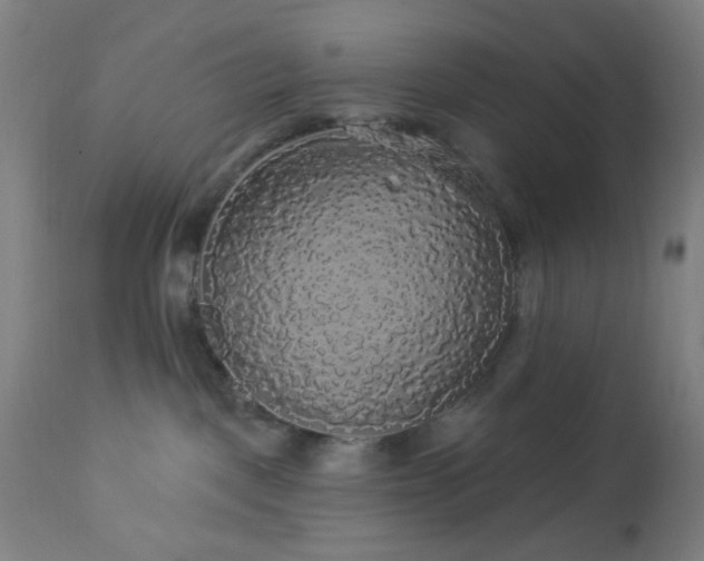 X0000112960093200908271127