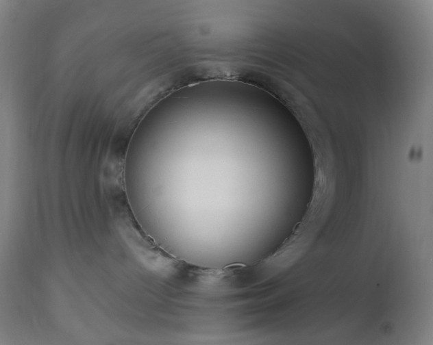 X0000112960096200908271127