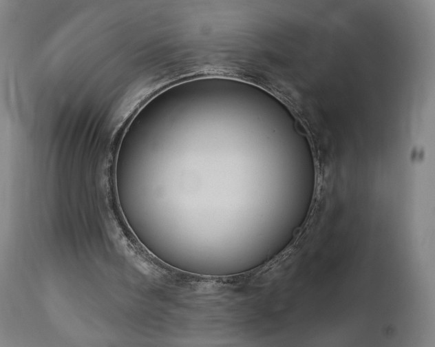 X0000112960098200908271127