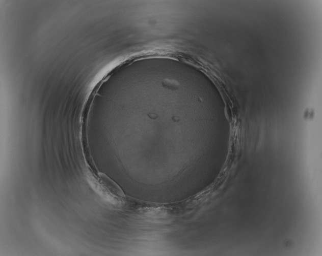 X0000112960100200908271127