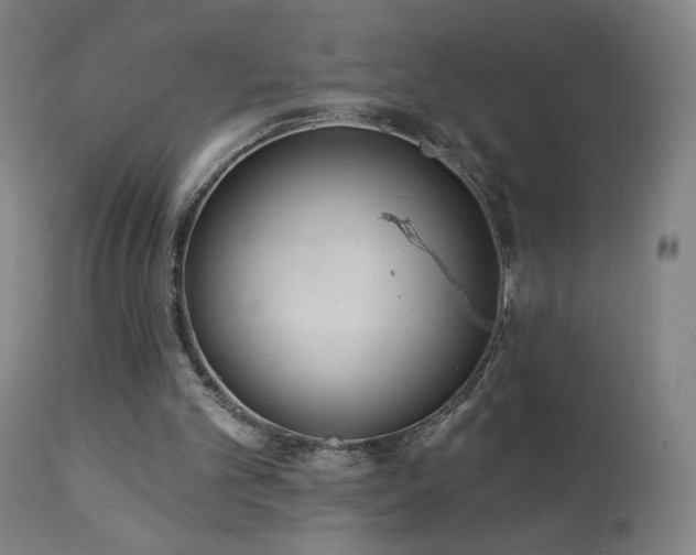 X0000112960101200908271127