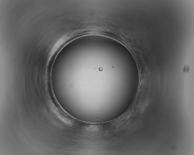 X0000112960102200908271127