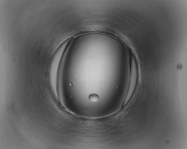 X0000112960105200908271127