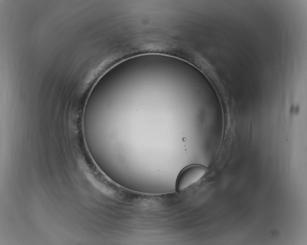 X0000112960106200908271127