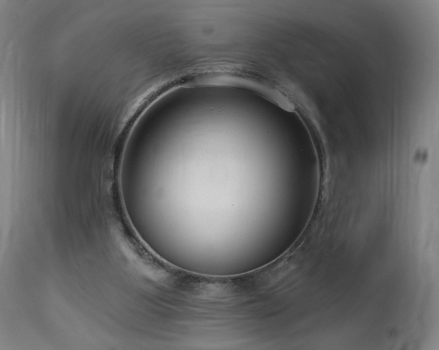 X0000112960107200908271127