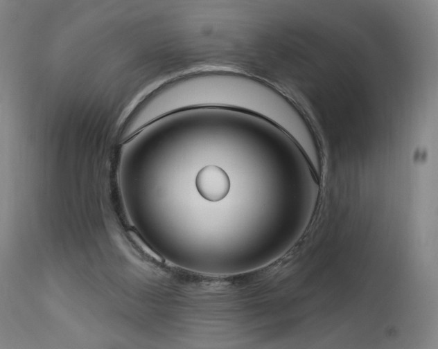 X0000112960108200908271127