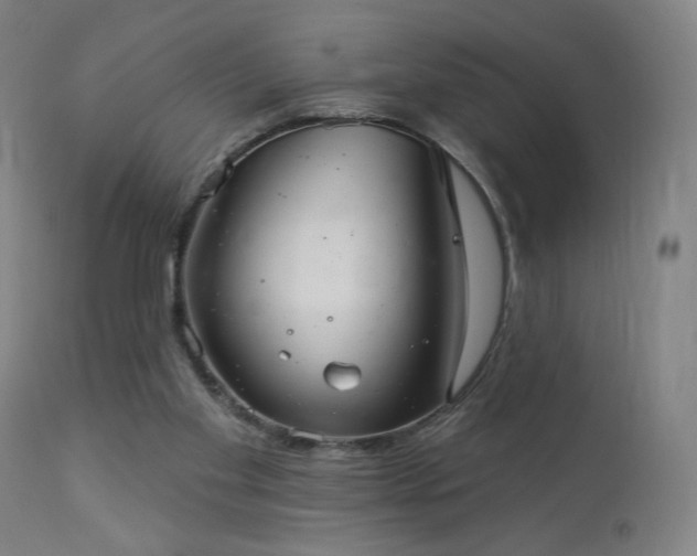 X0000112960109200908271127