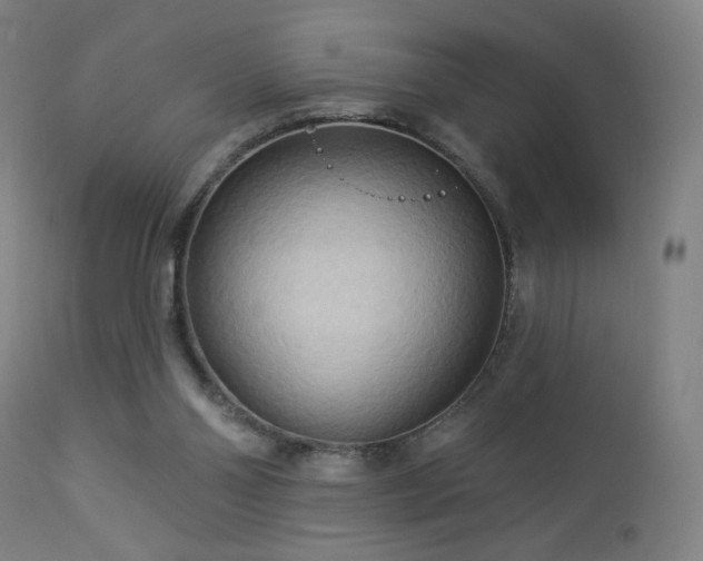 X0000112960110200908271127