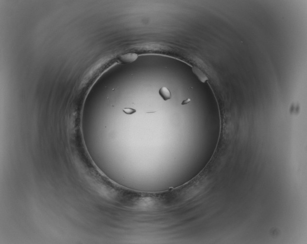 X0000112960111200908271126