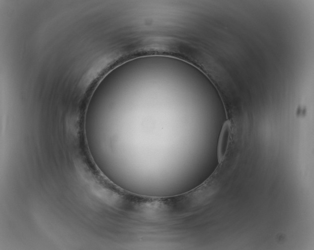 X0000112960112200908271126