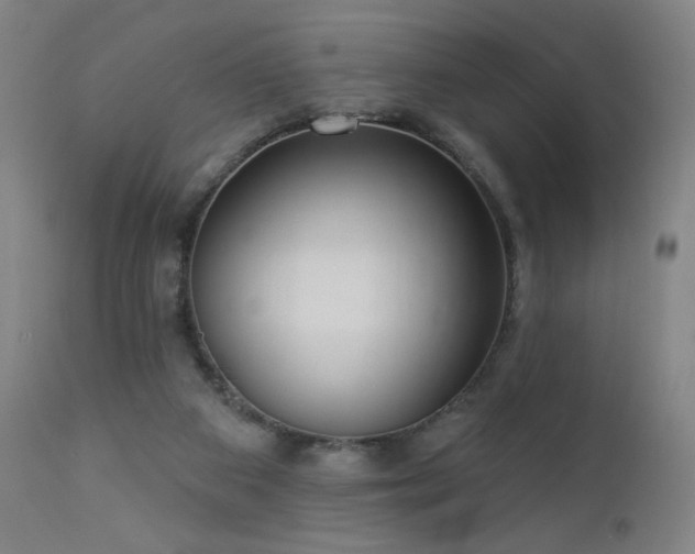 X0000112960113200908271126