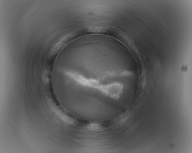 X0000112960114200908271126