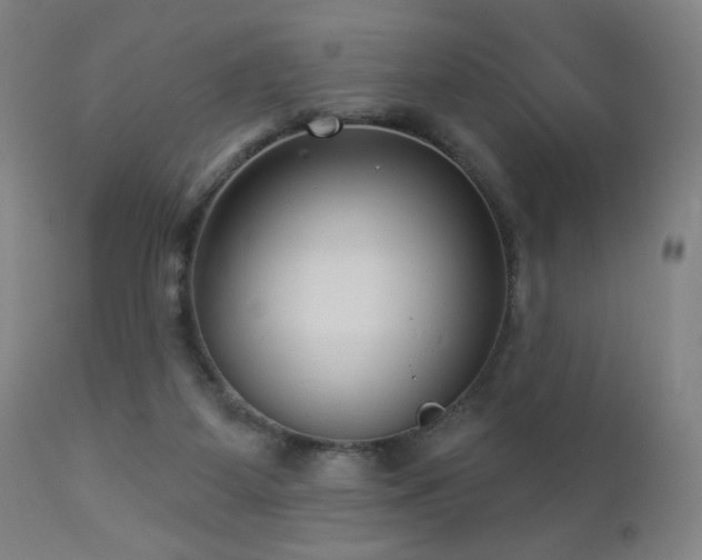 X0000112960115200908271126