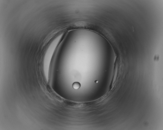 X0000112960116200908271126