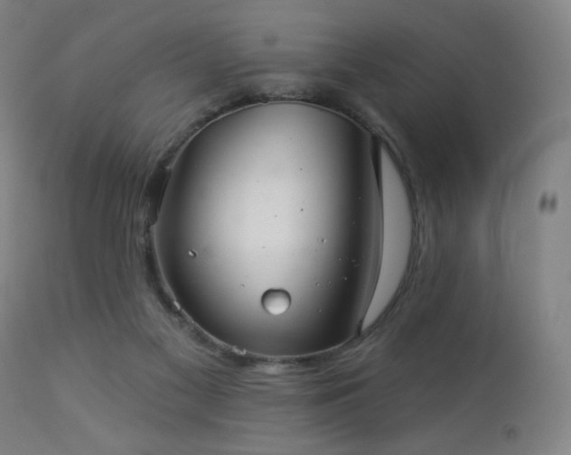 X0000112960117200908271126