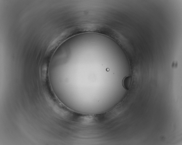 X0000112960118200908271126