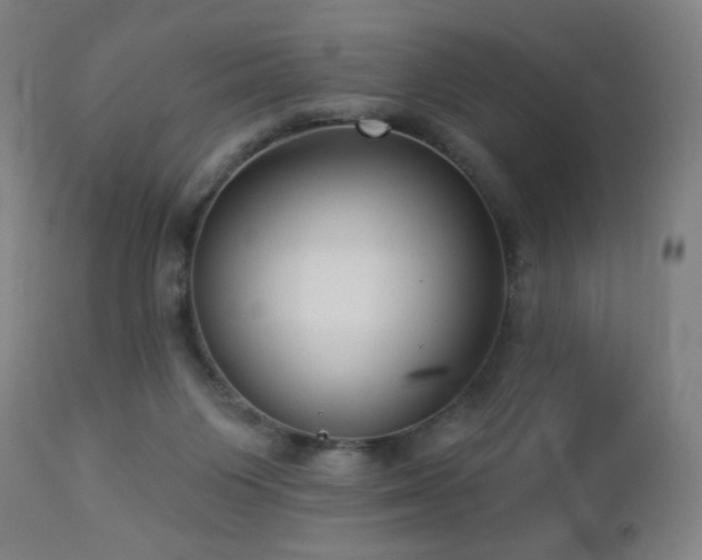 X0000112960119200908271126